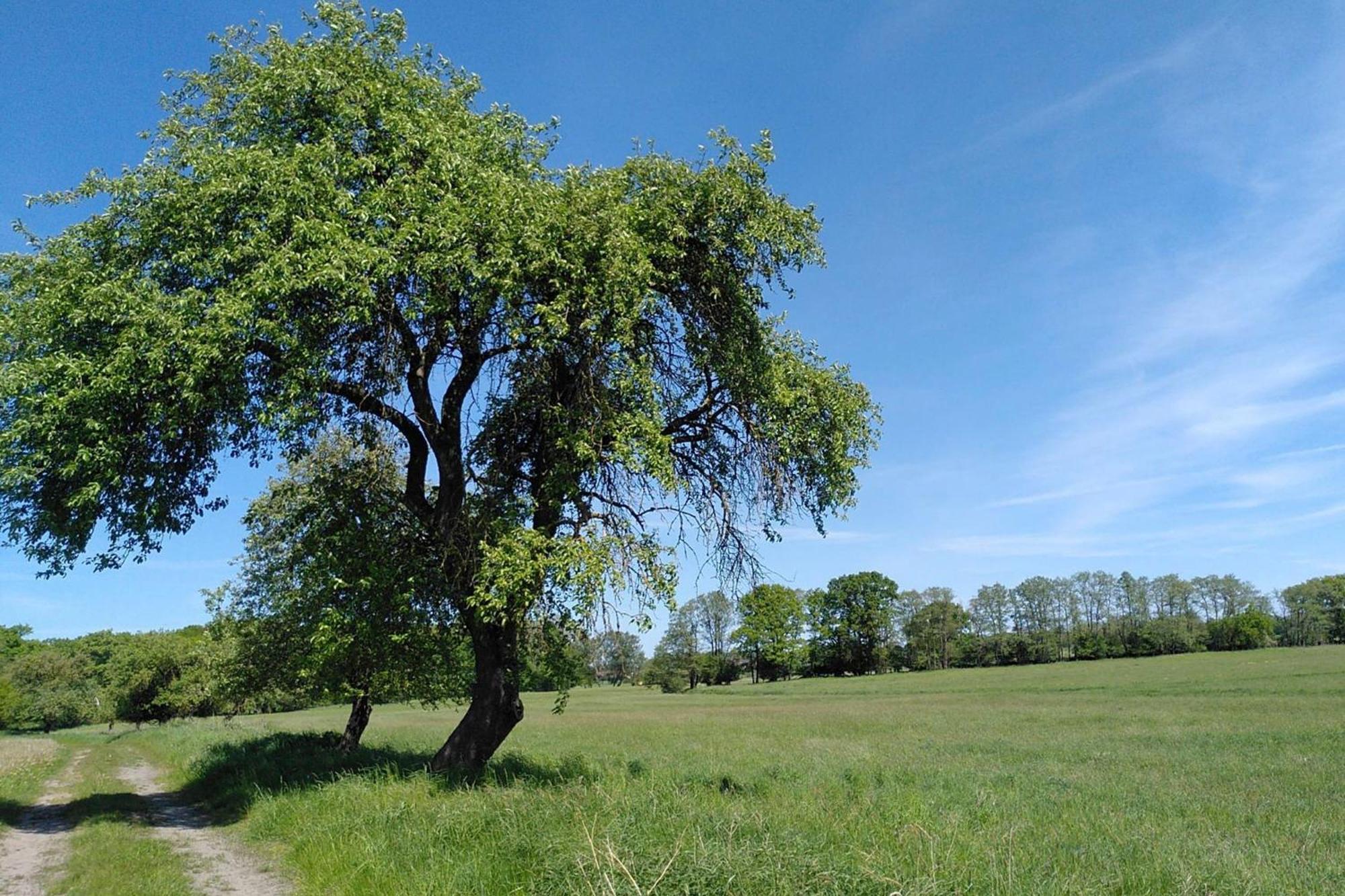 Ferienwohnung Zur Pferdekoppel Bömitz Exteriér fotografie
